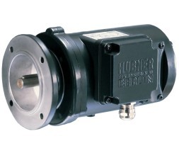 بومر هوبنر غمب 1.0 /غمبز 1.0 تاكوجينيراتورس