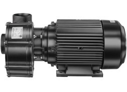 Speck Pumpen BADU 21-80 AK Centrifugal Pumps