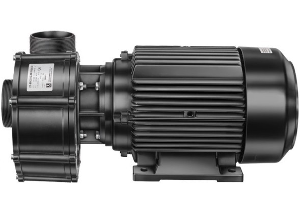 Speck Pumpen BADU 21-80 AK Centrifugal Pumps