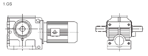 Gear motor GSAF57-YEJ1, 1-4P-56.61-M2-F30-270/1500/25/282/11/1.05