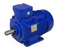 Asynchronous electric motors Dutchi Motors DMD-EEx d