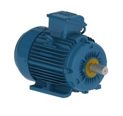 AC electric motors WEG WEG W21/W22