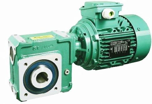 ليروي سومر مولتيبلوك دودة علب التروس