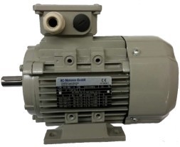 المحركات الكهربائية غير المتزامنة أس-موتورين أكا إي 2