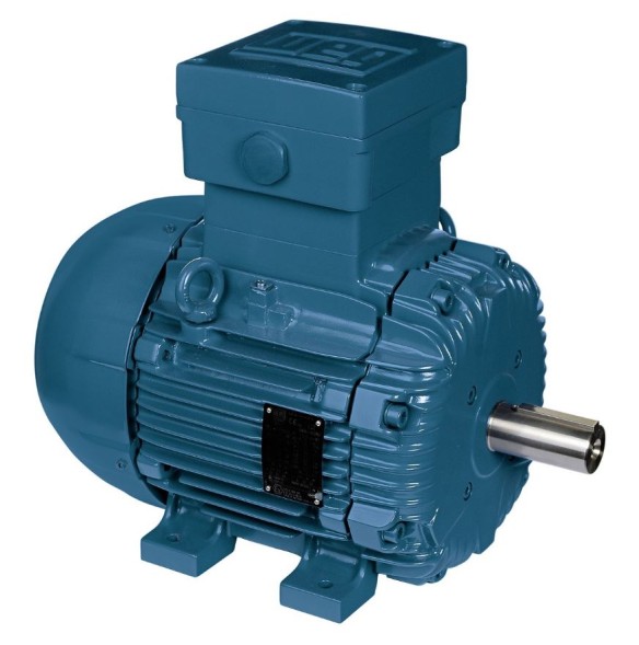 Explosion-proof engines WEG W21 Xd IE1, IE2