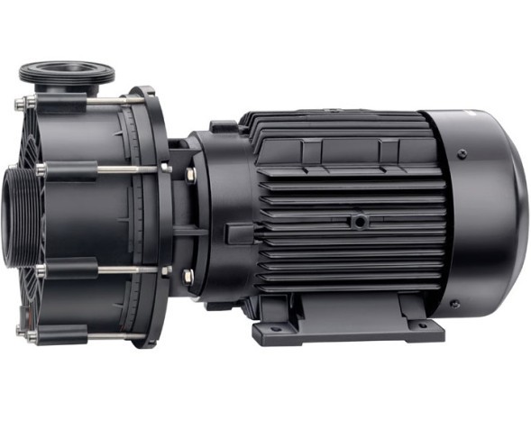 Speck Pumpen BADU 21-50 /21-60 AK Centrifugal Pumps