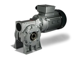 Worm Gear Motor MRT 80A/10-FT-RL-3.0/4p