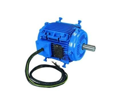 أس المحركات الكهربائية ويغ دبليو 21 إف 2