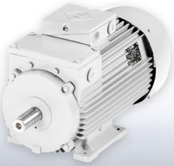 ثلاث مراحل المحركات الكهربائية فيم سبر، سبر