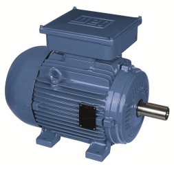 Single-phase electric motors WEG W21R