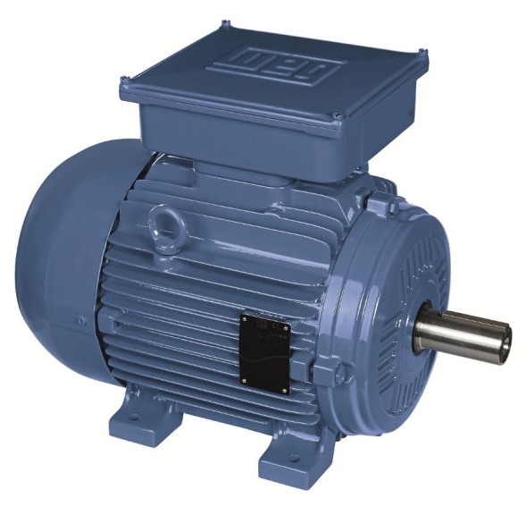 Single-phase electric motors WEG W21R