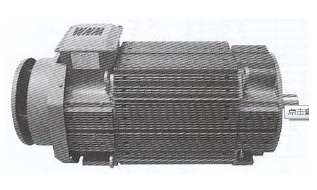 دس موتورز ونم زبل 4