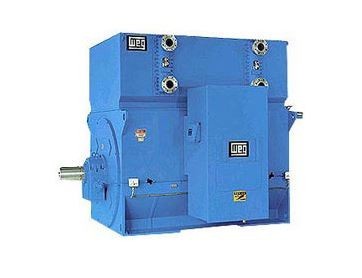 WEG MAA High Voltage Motors