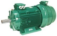 Asynchronous electric motors Leroy Somer FLS, PLS, FCPL, FAP